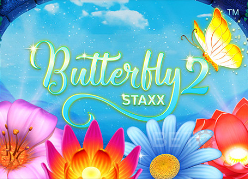 Butterfly Staxx 2