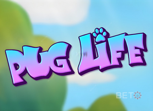 Pug Life