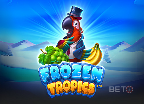 Frozen Tropics 