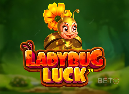 Ladybug Luck 