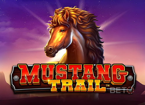 Mustang Trail 