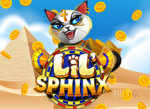 Lil Sphinx