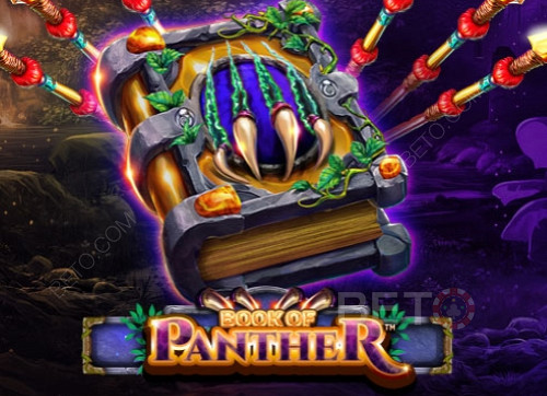 Book Of Panther Wild Dawn