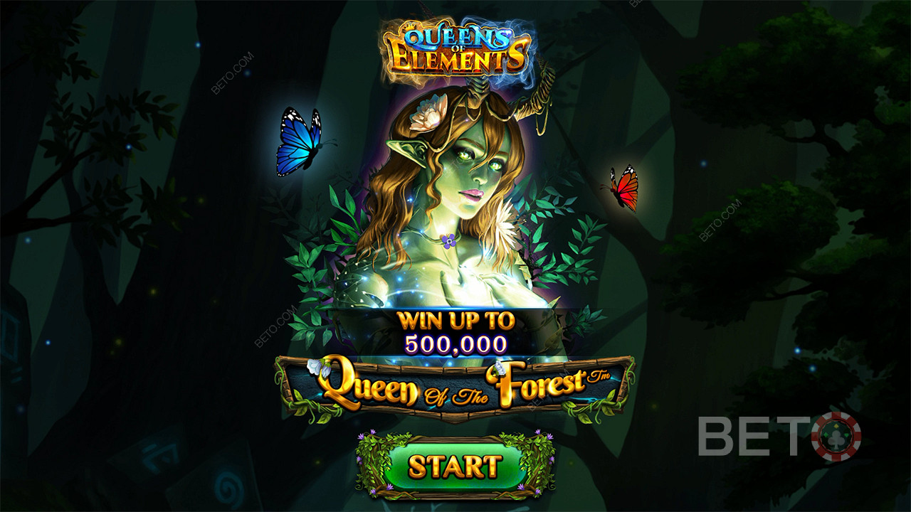 Queen of the Forest फ्री खेलें