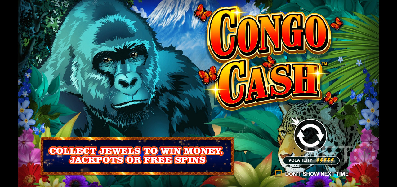 Congo Cash - जंगल साहसिक में सिल्वरबैक में शामिल हों