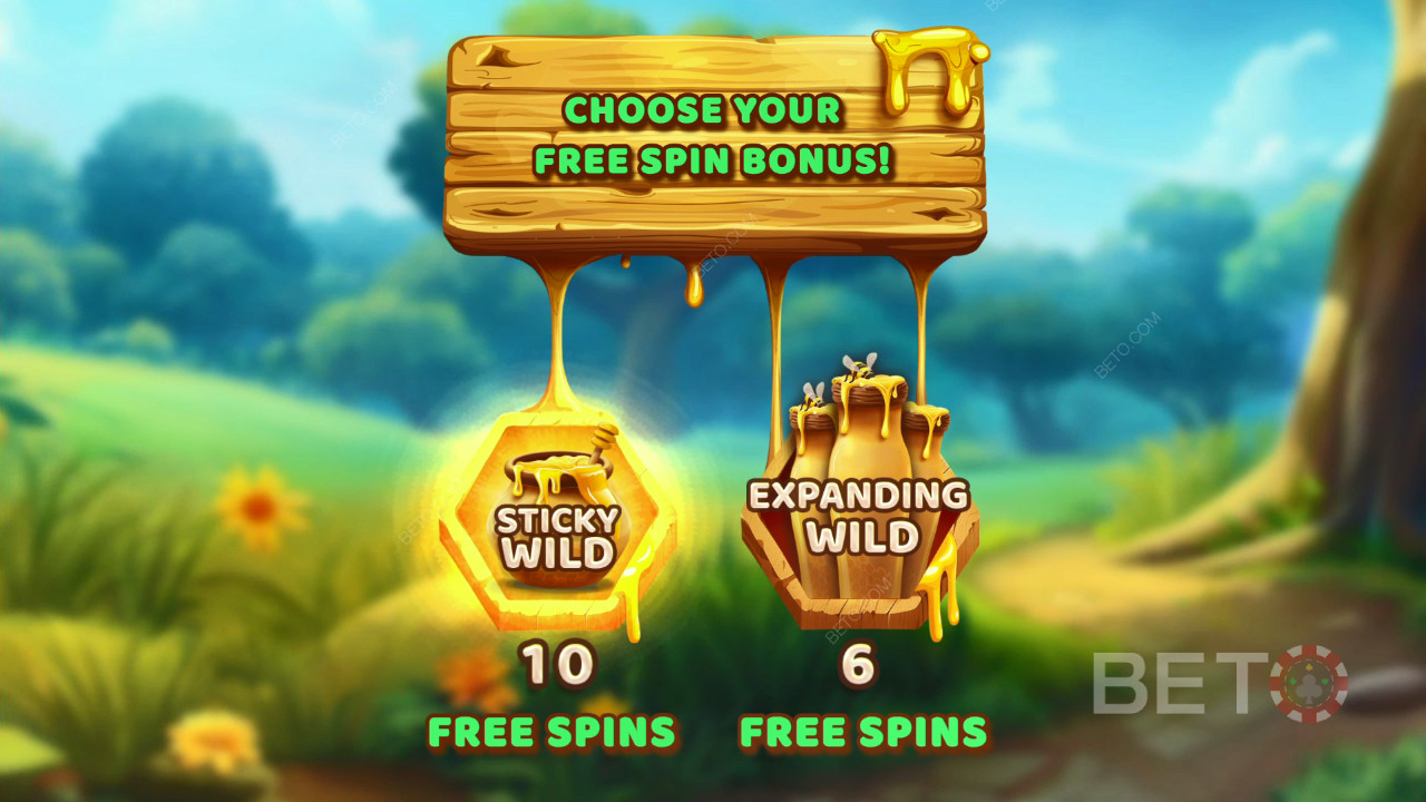 थीम और डिज़ाइन: मधुमक्खी साहसिक खोज