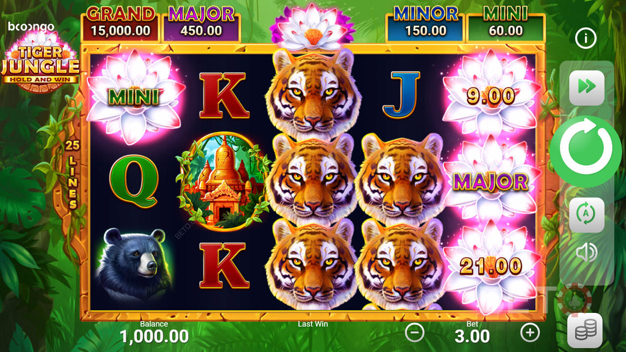 Tiger Jungle Hold and Win फ्री खेलें