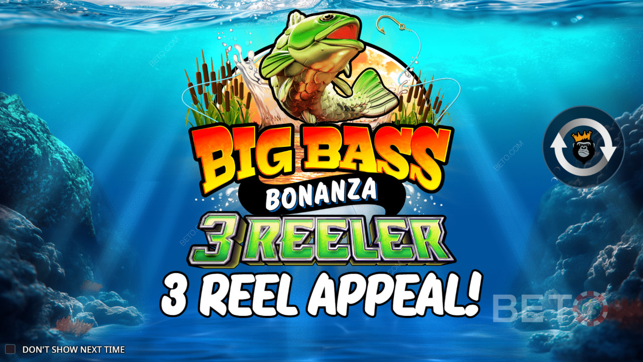 Reel Kingdom का Big Bass Bonanza 3 रीलर कैसे बजाएँ?