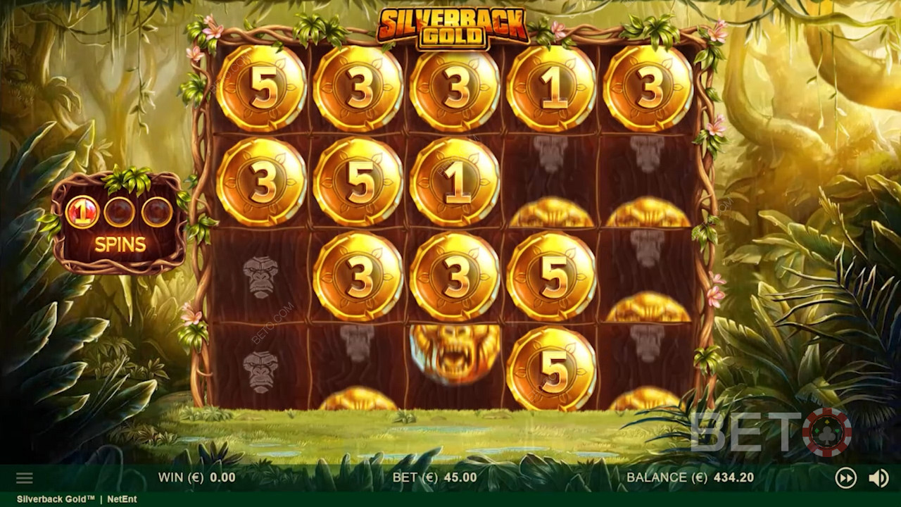 सिल्वरबैक गोल्ड में बोनस राउंड