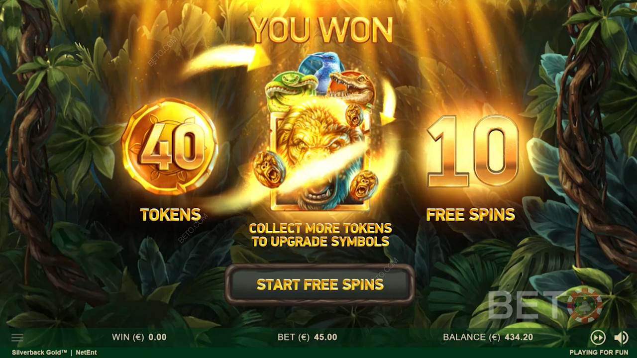 सिल्वरबैक गोल्ड की इंट्रो स्क्रीन