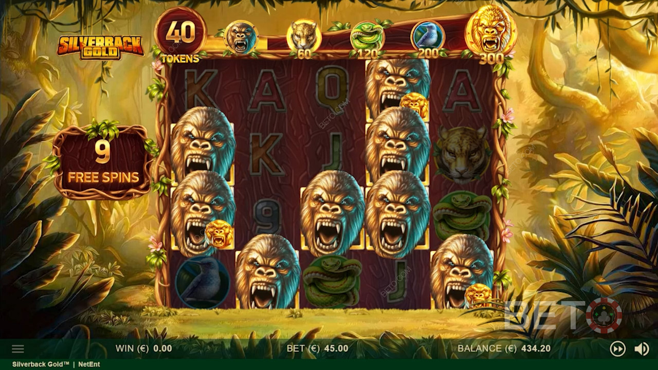 सिल्वरबैक गोल्ड के ग्रिड पर जंगली गोरिल्ला