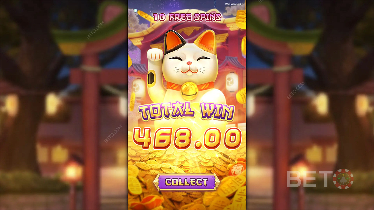 विन विन नेको - हाँ या ना