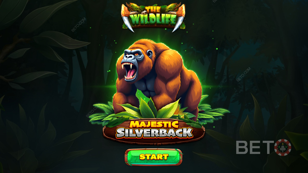 Spinomenal द्वारा मैजेस्टिक सिल्वरबैक में बोनस सुविधाओं की व्याख्या