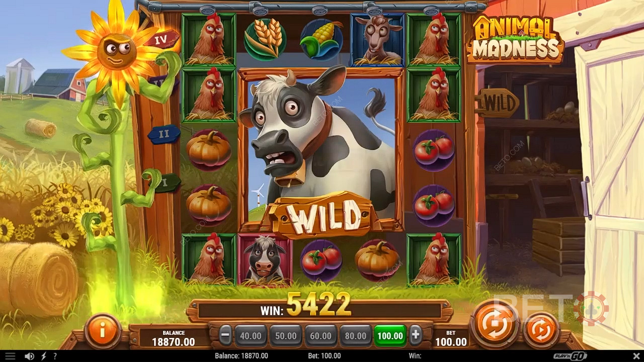 Animal Madness फ्री खेलें