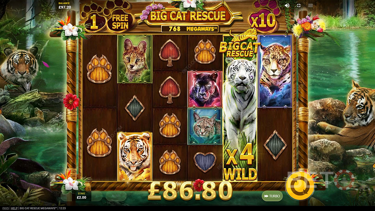 Big Cat Rescue Megaways फ्री खेलें