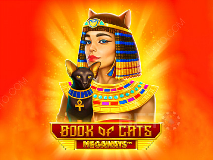 Book of Cats Megaways डेमो