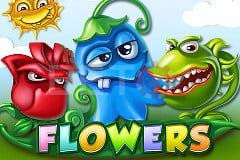 Flowers डेमो