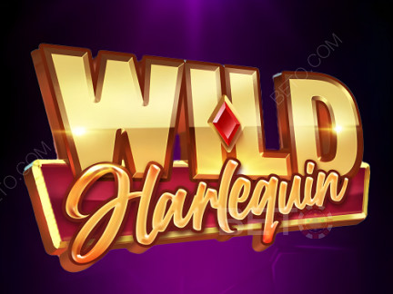 Wild Harlequin डेमो