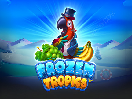 Frozen Tropics  डेमो
