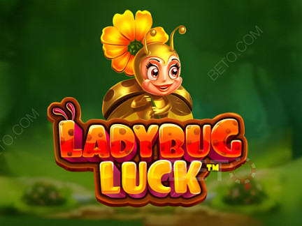 Ladybug Luck  डेमो