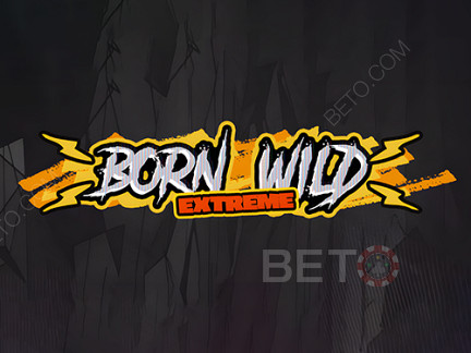 Born Wild डेमो