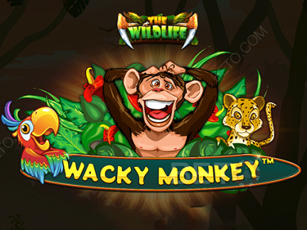 Wacky Monkey डेमो