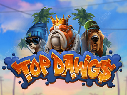 Top Dawgs डेमो