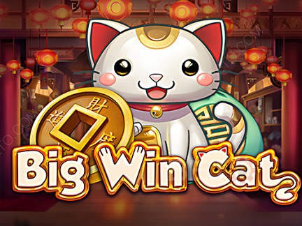 Big Win Cat डेमो