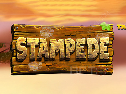 Stampede (Betsoft)  डेमो