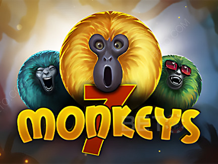 7 Monkeys  डेमो