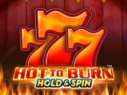 Hot To Burn Hold And Spin डेमो
