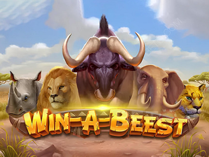 Win A Beest डेमो