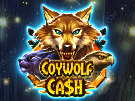 Coywolf Cash डेमो