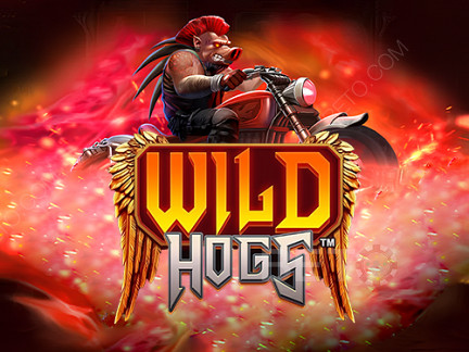 Wild Hogs डेमो