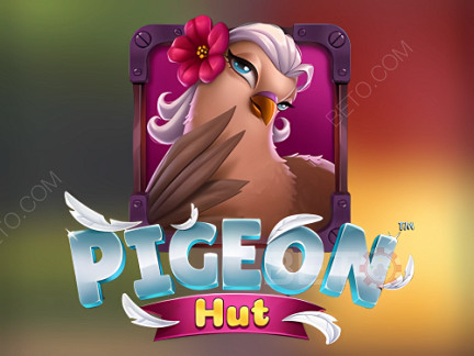 Pigeon Hut डेमो