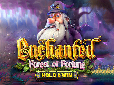 Enchanted: Forest of Fortune डेमो