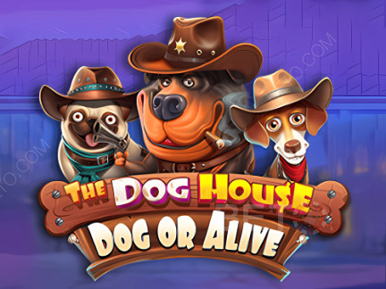 The Dog House - Dog or Alive डेमो