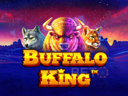 Buffalo King  डेमो