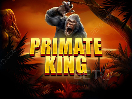 Primate King डेमो