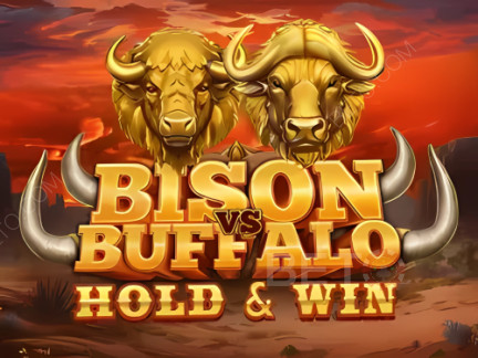 Bison vs Buffalo डेमो