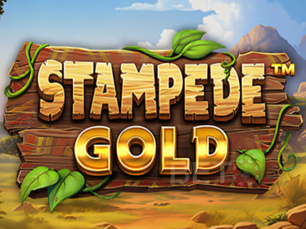 Stampede Gold डेमो