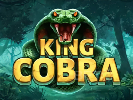 King Cobra डेमो