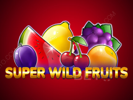 Super Wild Fruits डेमो