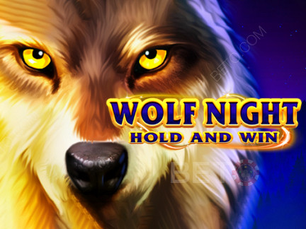 Wolf Night डेमो