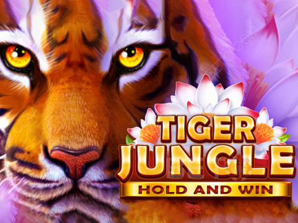 Tiger Jungle Hold and Win डेमो
