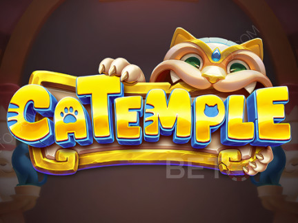 Catemple डेमो