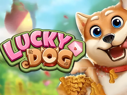 Lucky Dog डेमो