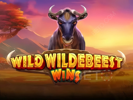 Wild Wildebeest Wins डेमो