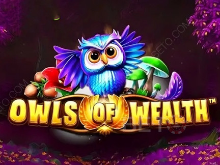 Owls of Wealth डेमो