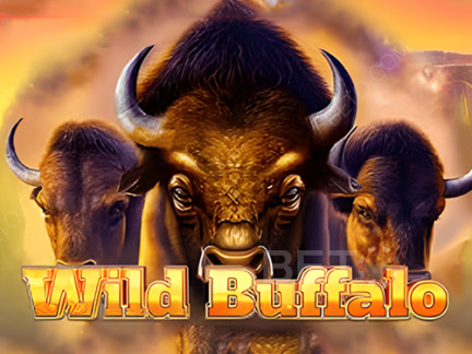 Wild Buffalo डेमो